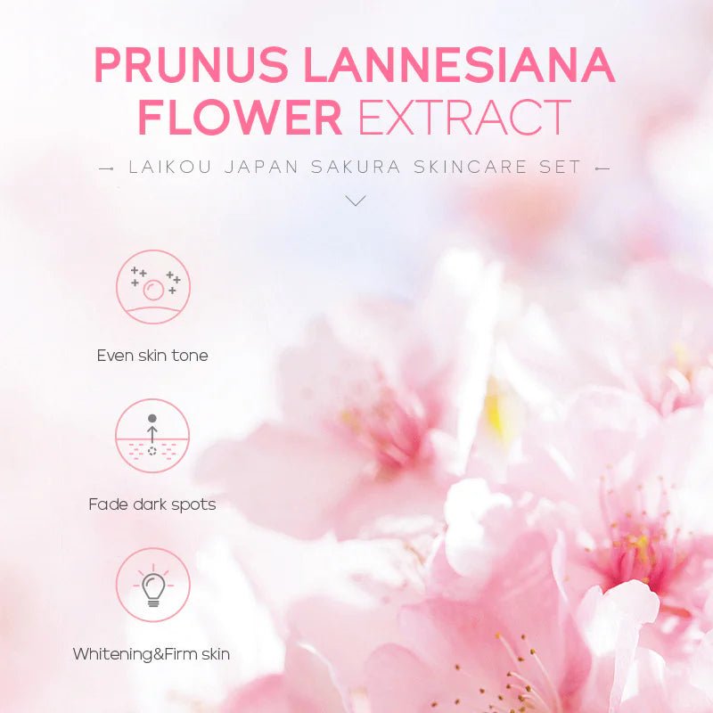 Moisturizing Face Cream Skin Care Kit - Bela - Rushnika